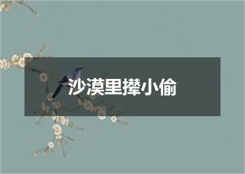 沙漠里撵小偷