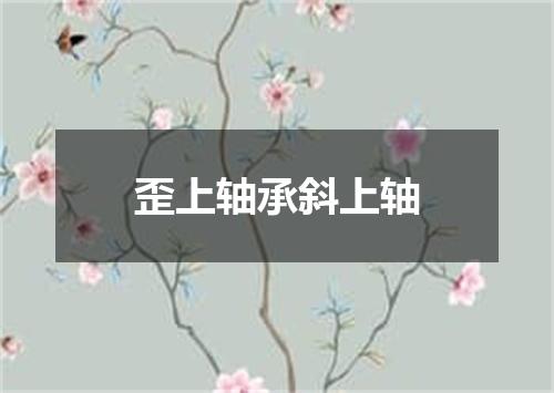 歪上轴承斜上轴