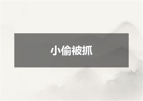 小偷被抓