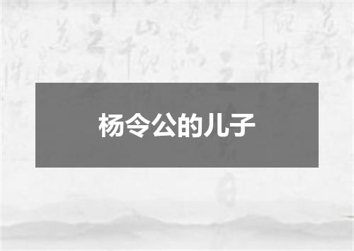 杨令公的儿子