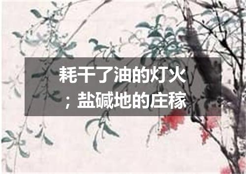 耗干了油的灯火；盐碱地的庄稼