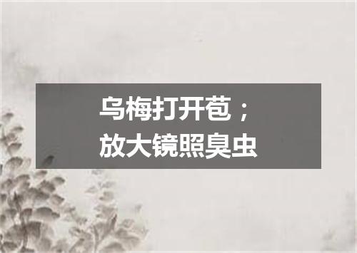 乌梅打开苞；放大镜照臭虫