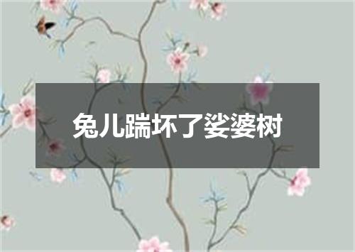 兔儿踹坏了娑婆树