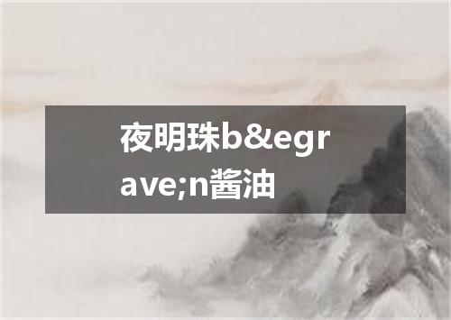 夜明珠bèn酱油