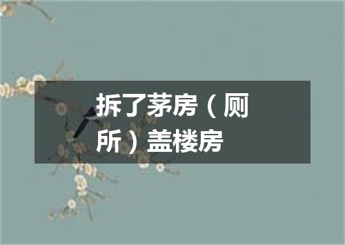 拆了茅房（厕所）盖楼房