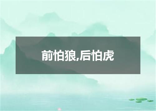 前怕狼,后怕虎