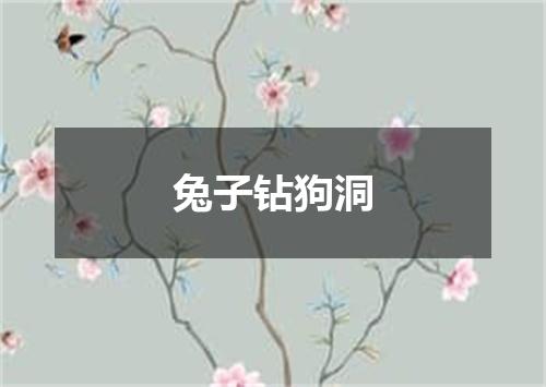 兔子钻狗洞