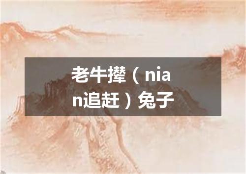 老牛撵（nian追赶）兔子