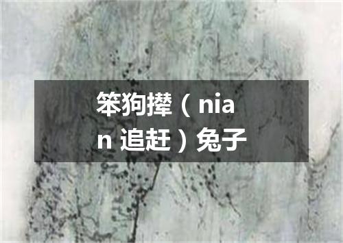 笨狗撵（nian 追赶）兔子