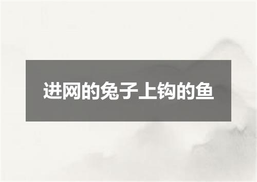 进网的兔子上钩的鱼