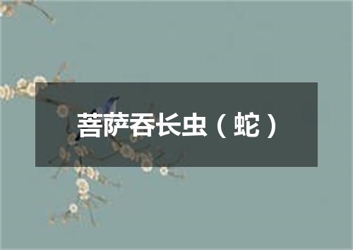 菩萨吞长虫（蛇）