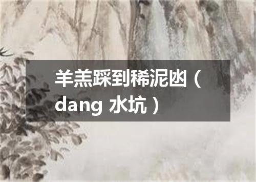 羊羔踩到稀泥凼（dang 水坑）