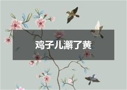 鸡子儿澥了黄