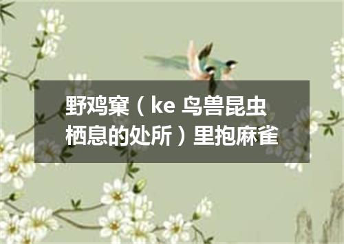 野鸡窠（ke 鸟兽昆虫栖息的处所）里抱麻雀