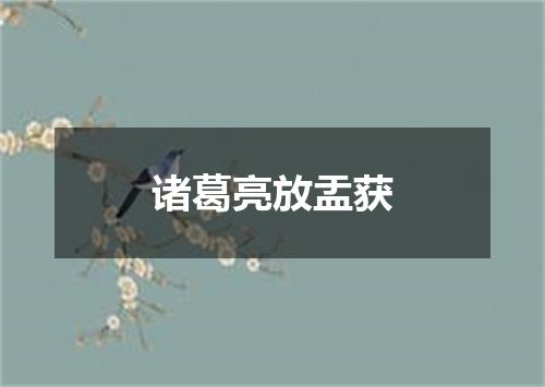 诸葛亮放盂获