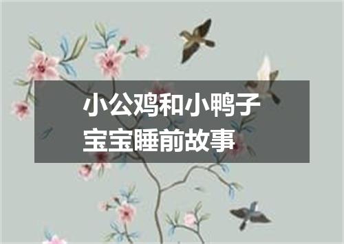 小公鸡和小鸭子宝宝睡前故事