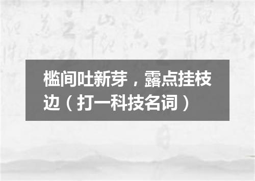 槛间吐新芽，露点挂枝边（打一科技名词）