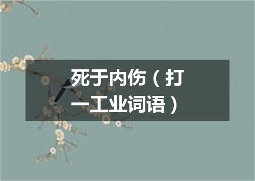 死于内伤（打一工业词语）