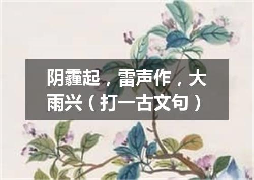 阴霾起，雷声作，大雨兴（打一古文句）