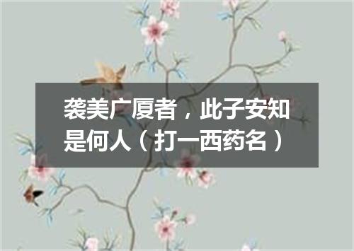 袭美广厦者，此子安知是何人（打一西药名）