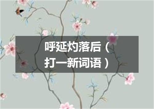 呼延灼落后（打一新词语）