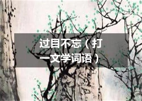 过目不忘（打一文学词语）