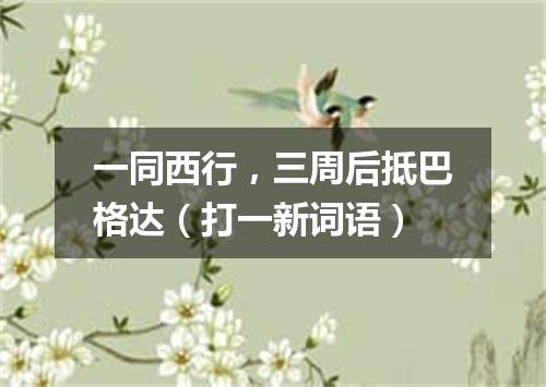 一同西行，三周后抵巴格达（打一新词语）