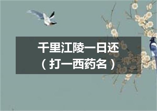 千里江陵一日还（打一西药名）