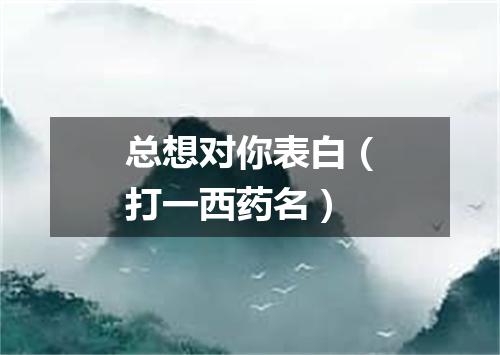 总想对你表白（打一西药名）