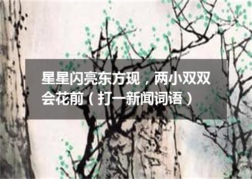 星星闪亮东方现，两小双双会花前（打一新闻词语）