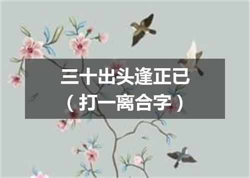 三十出头逢正已（打一离合字）