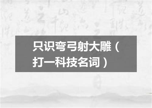 只识弯弓射大雕（打一科技名词）