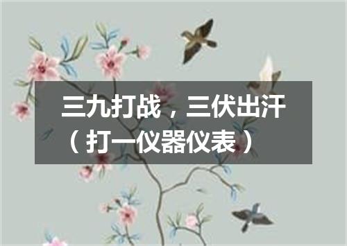 三九打战，三伏出汗（打一仪器仪表）