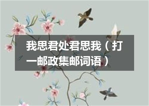 我思君处君思我（打一邮政集邮词语）