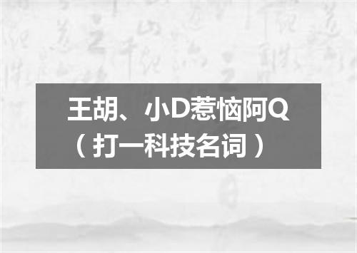 王胡、小D惹恼阿Q（打一科技名词）