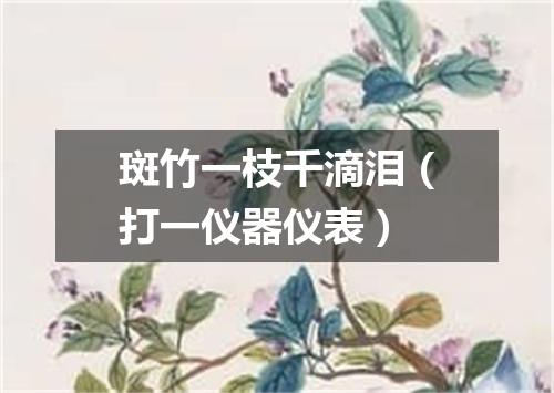 斑竹一枝千滴泪（打一仪器仪表）