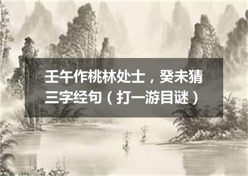 壬午作桃林处士，癸未猜三字经句（打一游目谜）