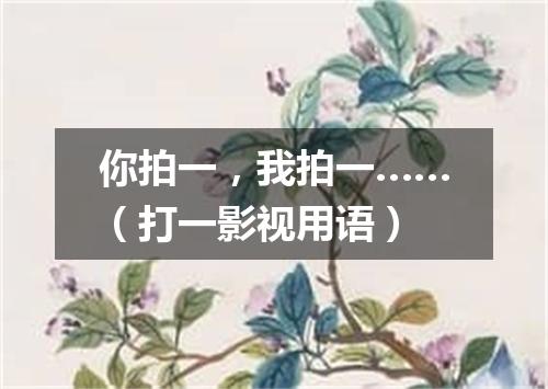 你拍一，我拍一……（打一影视用语）