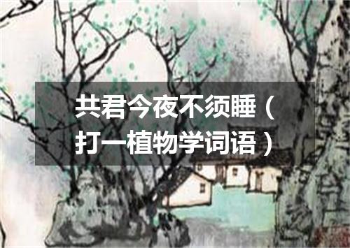 共君今夜不须睡（打一植物学词语）