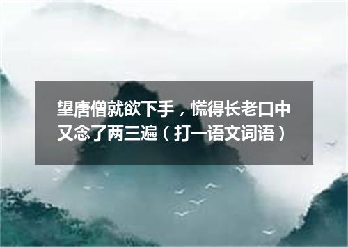 望唐僧就欲下手，慌得长老口中又念了两三遍（打一语文词语）