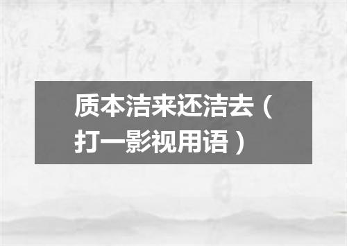 质本洁来还洁去（打一影视用语）