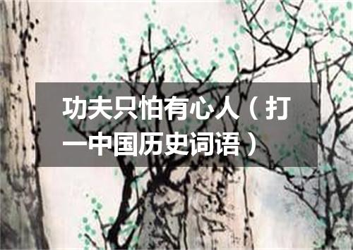 功夫只怕有心人（打一中国历史词语）