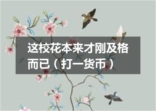 这校花本来才刚及格而已（打一货币）