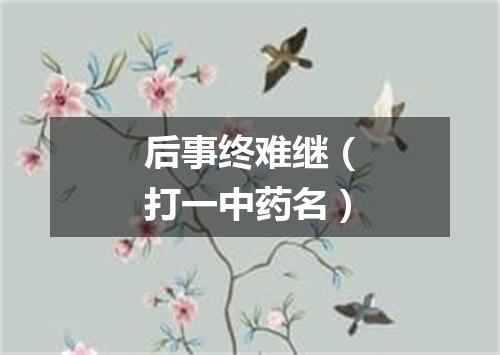 后事终难继（打一中药名）