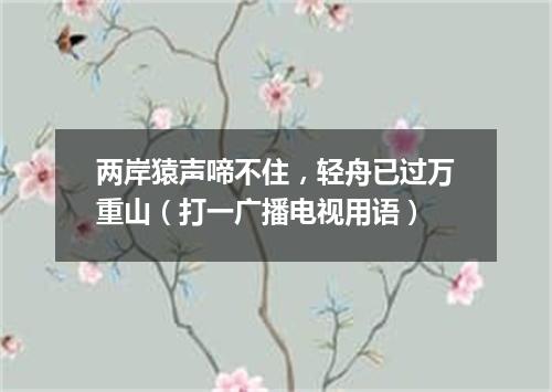 两岸猿声啼不住，轻舟已过万重山（打一广播电视用语）