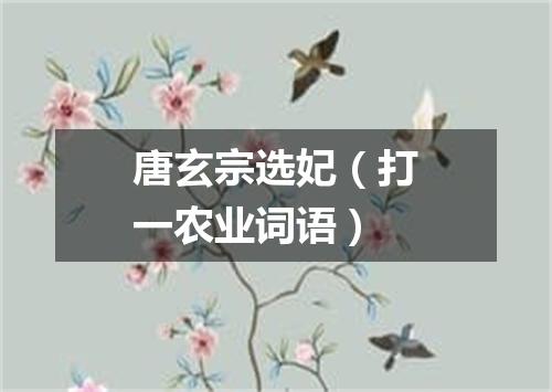 唐玄宗选妃（打一农业词语）