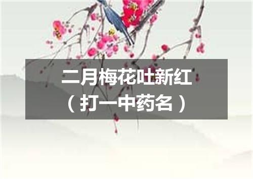 二月梅花吐新红（打一中药名）