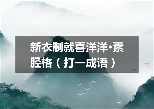 新衣制就喜洋洋·素胫格（打一成语）