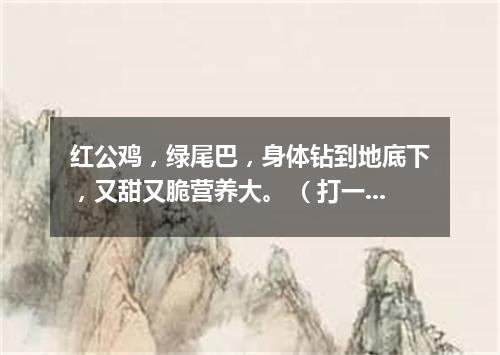 红公鸡，绿尾巴，身体钻到地底下，又甜又脆营养大。 （打一蔬菜）