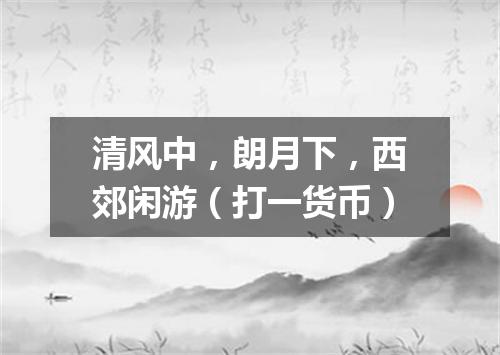 清风中，朗月下，西郊闲游（打一货币）